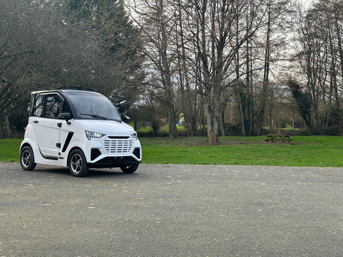Voiture Électrique : E-Confort