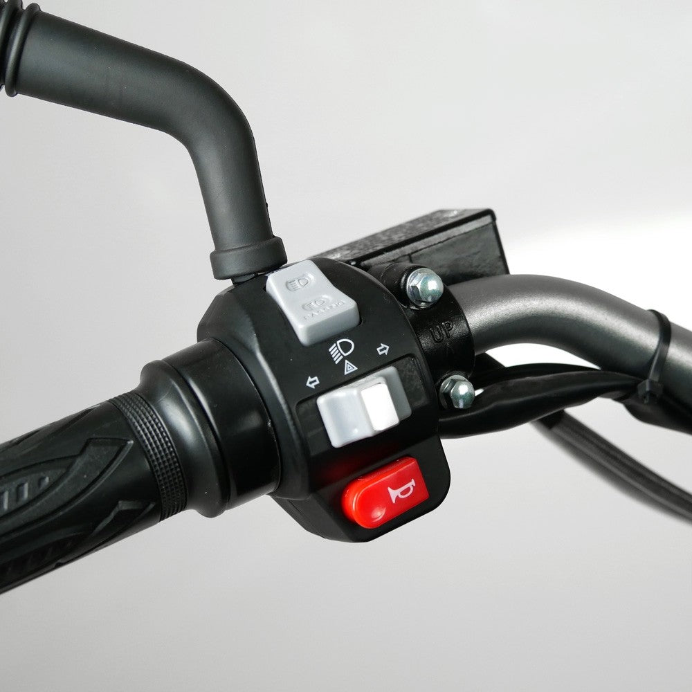 Scooter électrique E-Roadster Max 125cc