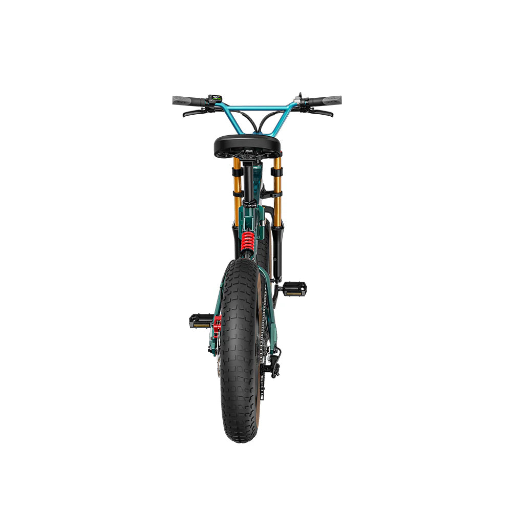 Vélo électrique Fiido M1 Pro 2025