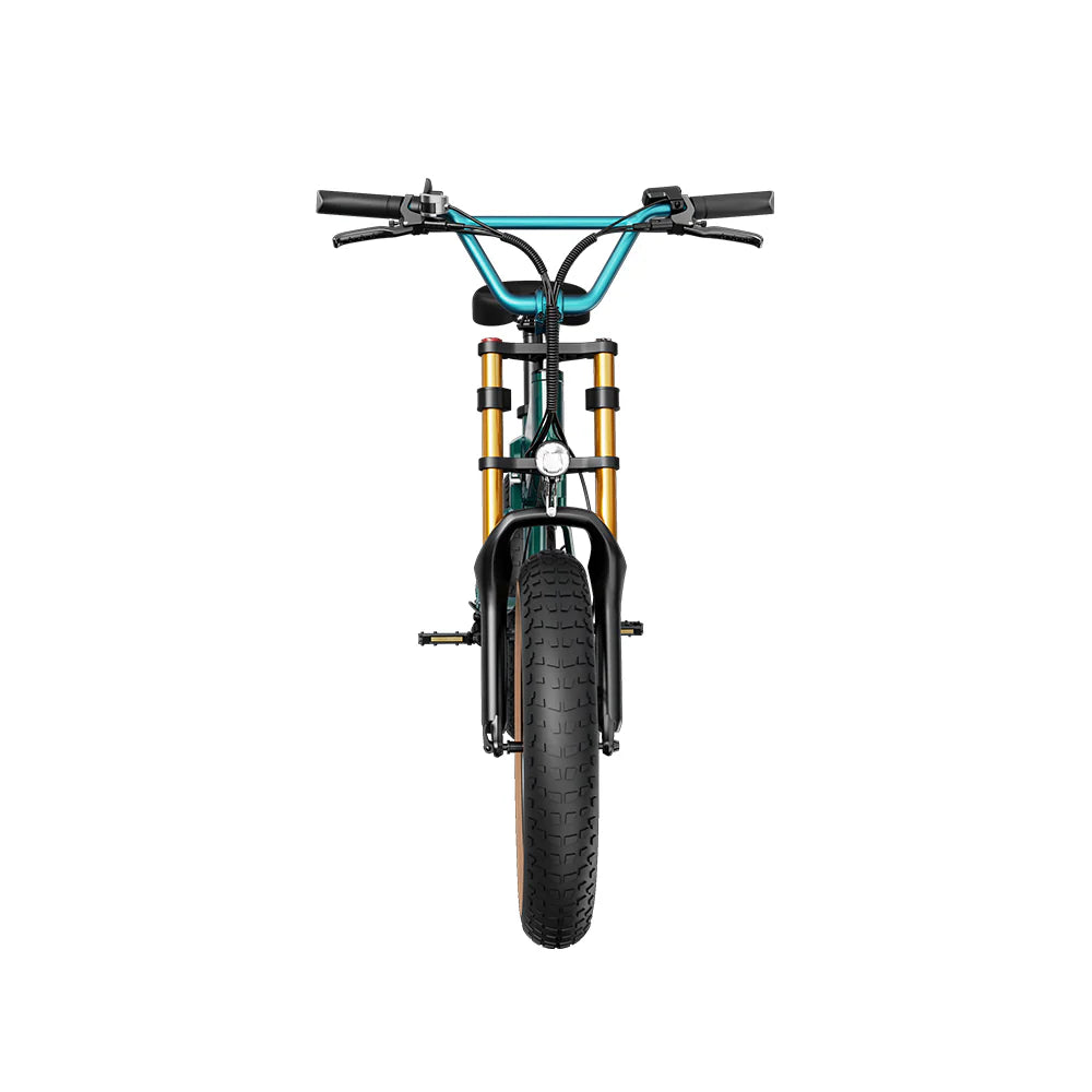 Vélo électrique Fiido M1 Pro 2025