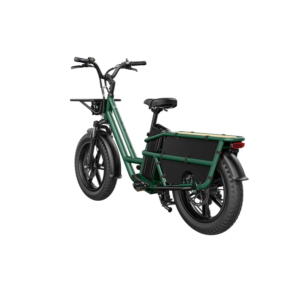 Vélo électrique Fiido T2 Cargo