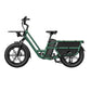 Vélo électrique Fiido T2 Cargo