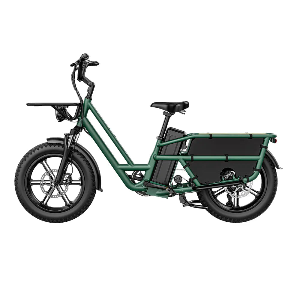 Vélo électrique Fiido T2 Cargo