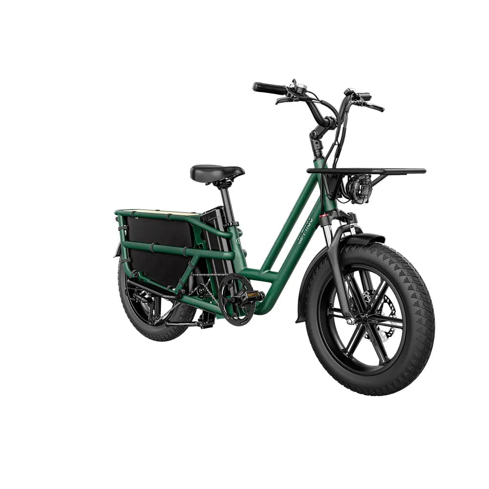 Vélo électrique Fiido T2 Cargo