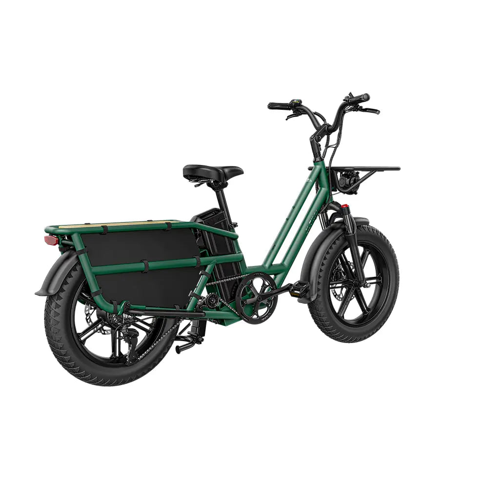 Vélo électrique Fiido T2 Cargo