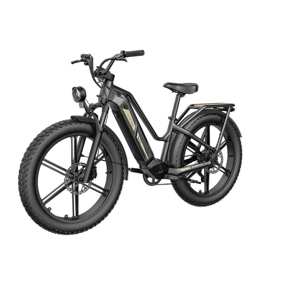 Vélo électrique Fiido Titan