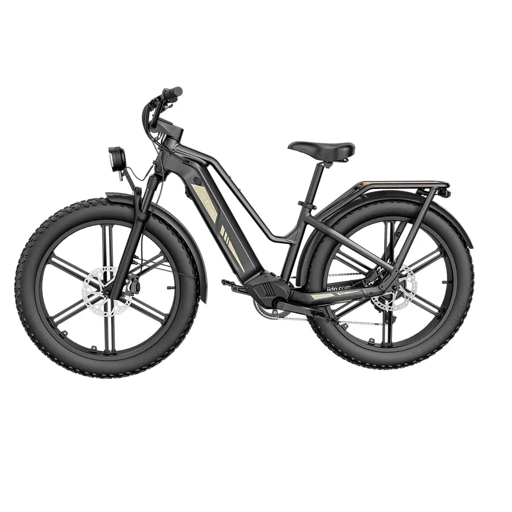 Vélo électrique Fiido Titan