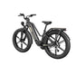 Vélo électrique Fiido Titan