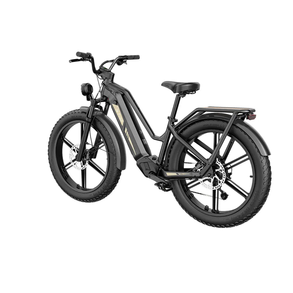 Vélo électrique Fiido Titan