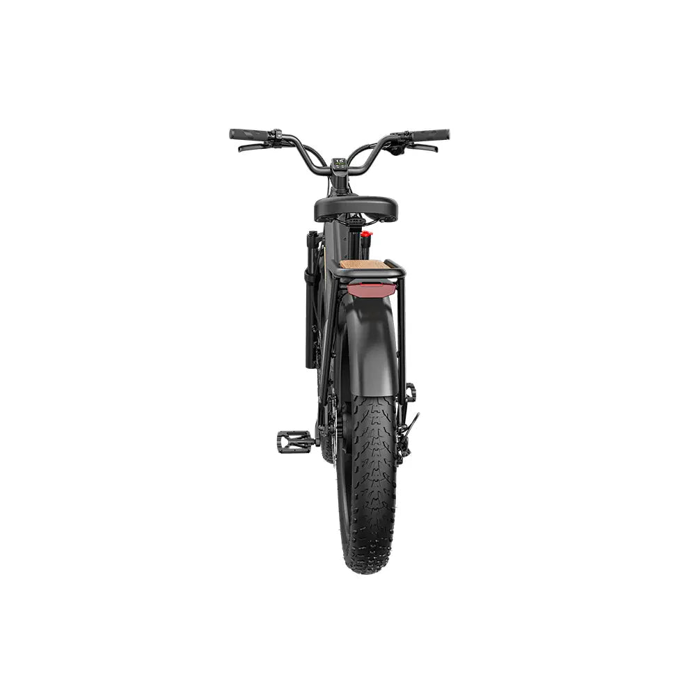 Vélo électrique Fiido Titan