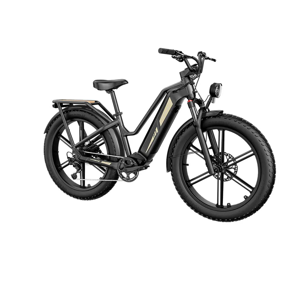 Vélo électrique Fiido Titan