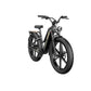 Vélo électrique Fiido Titan